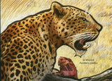 Fauna of the Kalahari Desert Stamp Panthera Pardus S/S MNH #4218 / Bl.637