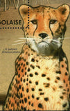 Fauna of the Sahara Desert Stamp Acinonyx Jubatus S/S MNH #4217 / Bl.636