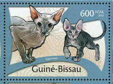 Cats Stamp Bengal Asian Russian Oriental Turkish S/S MNH #5764-5768