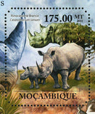 Rhinos Stamp Buphagus Erythrorhynchus Ceratotherium Simum S/S MNH #4986 / Bl.514