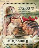 Rodents Stamp Anomalurus Derbianus Acomys Spinosissimus S/S MNH #4937 / Bl.507