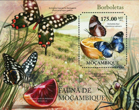 Butterflies Stamp Papilio Demodocus Phamacophagus Antenor S/S MNH #4839 / Bl.493