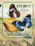 Butterflies Stamp Papilio Demodocus Phamacophagus Antenor S/S MNH #4839 / Bl.493