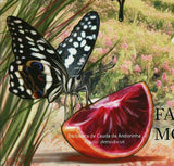 Butterflies Stamp Papilio Demodocus Phamacophagus Antenor S/S MNH #4839 / Bl.493