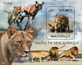 Lions Stamp Panthera Leo Wild Animal Fauna Souvenir Sheet MNH #5035 / Bl.521