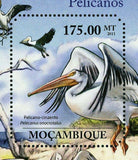 Pelicans Stamp Pelecanus Onocrotalus Bird Marine Fauna S/S MNH #4881 / Bl.499