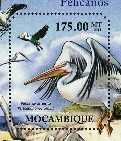 Pelicans Stamp Pelecanus Onocrotalus Bird Marine Fauna S/S MNH #4881 / Bl.499
