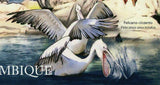 Pelicans Stamp Pelecanus Onocrotalus Bird Marine Fauna S/S MNH #4881 / Bl.499
