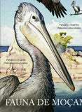 Pelicans Stamp Pelecanus Onocrotalus Bird Marine Fauna S/S MNH #4881 / Bl.499