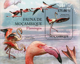 Flamingos Stamp Phoenicopterus Roseus Bird Marine Fauna S/S MNH #4895 / Bl.501