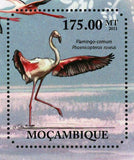 Flamingos Stamp Phoenicopterus Roseus Bird Marine Fauna S/S MNH #4895 / Bl.501