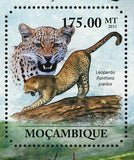 Wild Cats Stamp Panthera Pardus Caracal Souvenir Sheet MNH #5021 / Bl.519