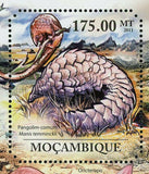 Pangolins & Aardvarks Stamp Manis Temminckii Aardvark S/S MNH #4965 / Bl.511