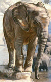 Elephants of Savanna Stamp Loxodonta Africana Wild Animal S/S MNH #4993 / Bl.515