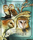 Owls Stamp Bird Tyto Alba Bubo Lacteus Glaucidium Perlatum S/S MNH #4916 /Bl.504