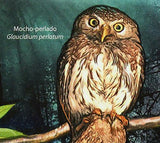 Owls Stamp Bird Tyto Alba Bubo Lacteus Glaucidium Perlatum S/S MNH #4916 /Bl.504