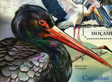Storks Stamp Mycteria Ibis Ciconia Nigra Birds S/S MNH #4888 / Bl.500