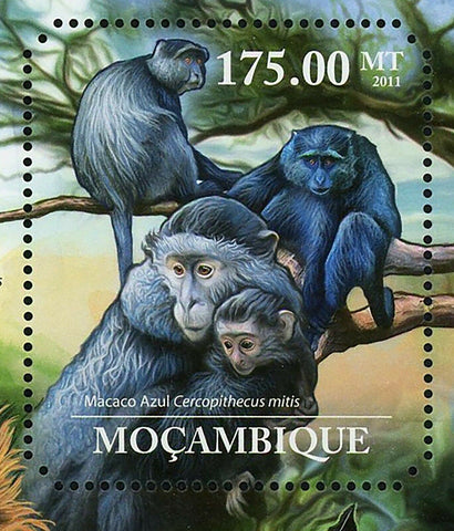 Primates Stamp Cercopithecus Mitis Papio Ursinus S/S MNH #5042 / Bl.522