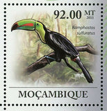 Toucan Stamp Pteroglossus Torquatus Ramphastos Toco S/S MNH #4354-4359