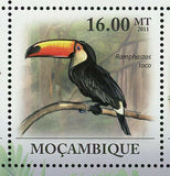 Toucan Stamp Pteroglossus Torquatus Ramphastos Toco S/S MNH #4354-4359