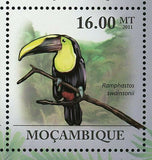 Toucan Stamp Pteroglossus Torquatus Ramphastos Toco S/S MNH #4354-4359