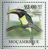Toucan Stamp Pteroglossus Torquatus Ramphastos Toco S/S MNH #4354-4359