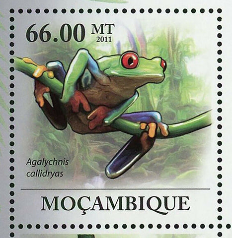 Red-eyed Treefrog Stamp Agalychnis Callidryas Amphibian S/S MNH #4294-4299