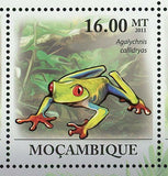 Red-eyed Treefrog Stamp Agalychnis Callidryas Amphibian S/S MNH #4294-4299