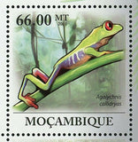 Red-eyed Treefrog Stamp Agalychnis Callidryas Amphibian S/S MNH #4294-4299