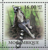 Lemurs Stamp Lemur Catta Wild Animal Souvenir Sheet MNH #4415-4420