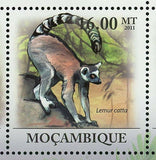 Lemurs Stamp Lemur Catta Wild Animal Souvenir Sheet MNH #4415-4420