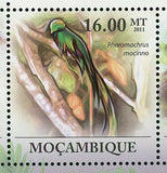 Resplendent Quetzal Birds Stamp Pharomachrus Mocinno S/S MNH #4348-4353