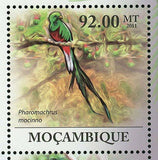 Resplendent Quetzal Birds Stamp Pharomachrus Mocinno S/S MNH #4348-4353