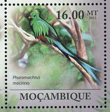 Resplendent Quetzal Birds Stamp Pharomachrus Mocinno S/S MNH #4348-4353