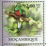 Resplendent Quetzal Birds Stamp Pharomachrus Mocinno S/S MNH #4348-4353