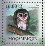 Owls Stamp Ninox Novaeseelandiae Tyto Multipunctata S/S MNH #4366-4371