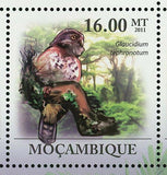 Owls Stamp Ninox Novaeseelandiae Tyto Multipunctata S/S MNH #4366-4371