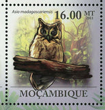 Owls Stamp Ninox Novaeseelandiae Tyto Multipunctata S/S MNH #4366-4371