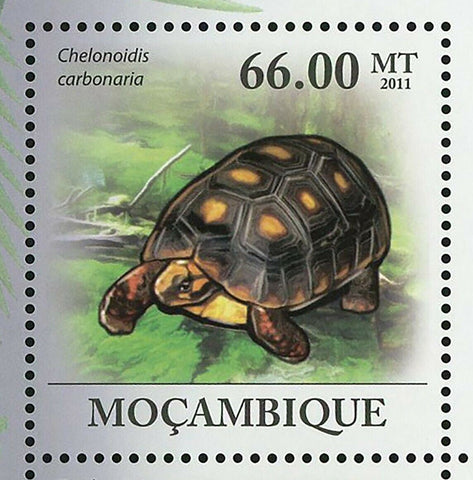 Turtles Stamp Chelonoidis Carbonaria Geochelone Sulcata S/S MNH #4315-4320