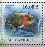 Piranhas Stamp Fish Pygocentrus Nattereri Serrasalmus Manueli S/S MNH #4287-4292