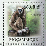 Monkeys Stamp Hylobates Lar Wild Animal Souvenir Sheet MNH #4421-4426