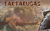 Turtles Stamp Eretmochelys Imbricata Reptile S/S MNH #2983 / Bl.220