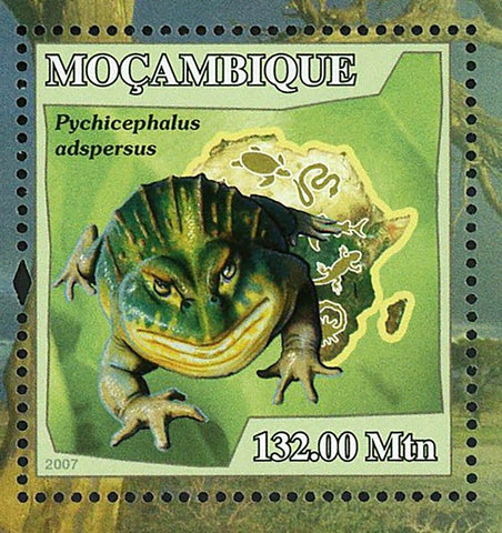 Frogs Stamp Pyxicephalus Adspersus Souvenir Sheet MNH #2963 / Bl.218