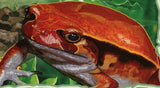 Frogs Stamp Pyxicephalus Adspersus Souvenir Sheet MNH #2963 / Bl.218