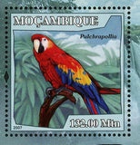 Parrots Stamp Birds Pulchrapollia Souvenir Sheet MNH #3031 / Bl.226