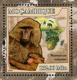 Apes Stamp Primates Nomascus Nasutus Souvenir Sheet MNH #3066 / Bl.231