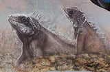 Lizards Stamp Pogona Vitticeps Reptile Souvenir Sheet MNH #2997 / Bl.222