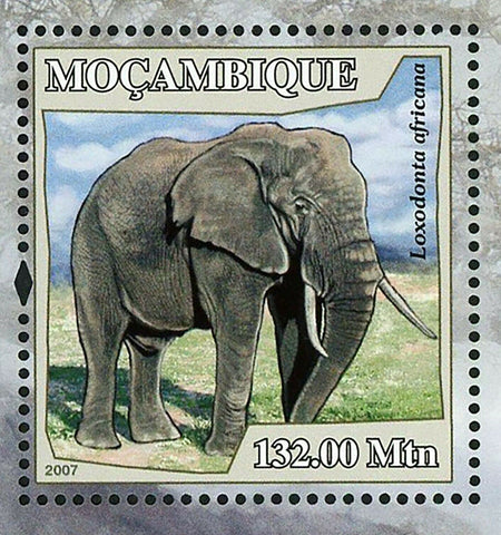 Elephants Stamp Loxodonta Africana Wild Animal Souvenir Sheet MNH #3063 / Bl.228