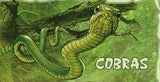 Snakes Stamp Dendroaspis Polylepis Reptiles Souvenir Sheet MNH #3004 / Bl.223