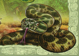 Snakes Stamp Dendroaspis Polylepis Reptiles Souvenir Sheet MNH #3004 / Bl.223
